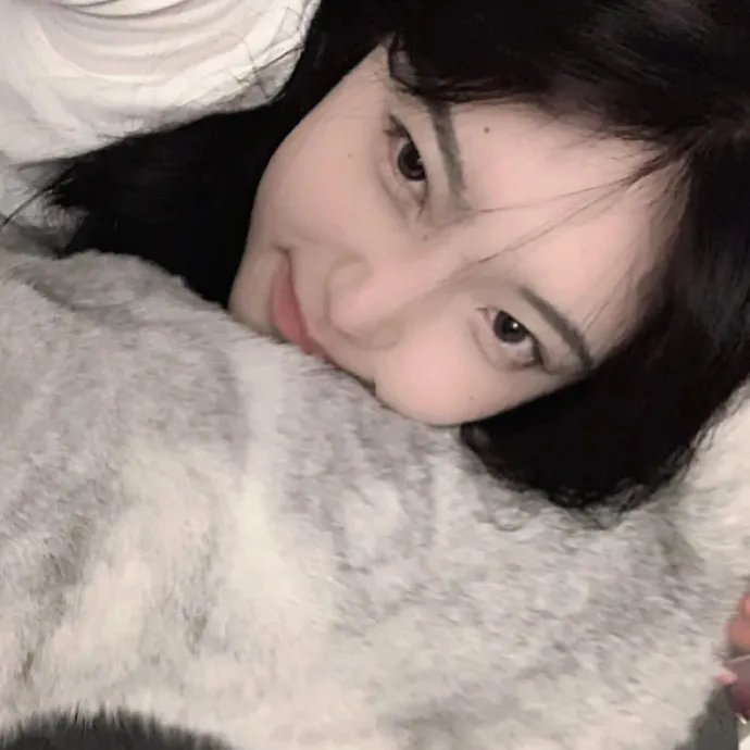 抓贼高手